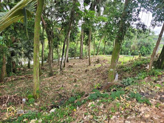 Área para Venda em Blumenau - 4