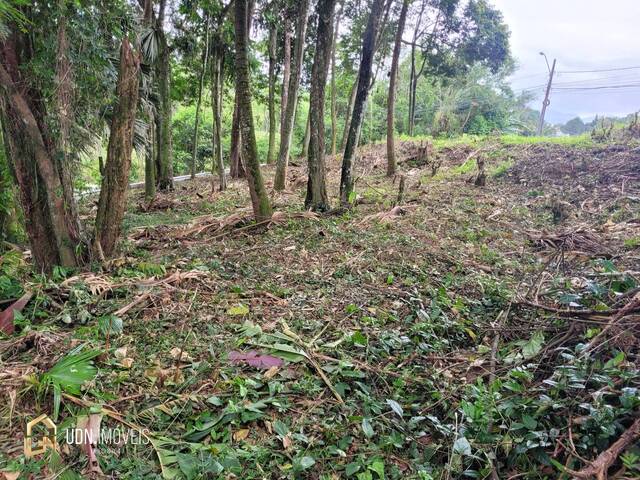 #1398 - Área para Venda em Blumenau - SC