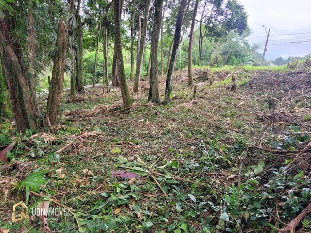 #1398 - Área para Venda em Blumenau - SC - 3