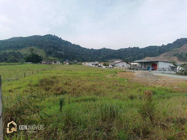 Área para Venda em Gaspar - 4