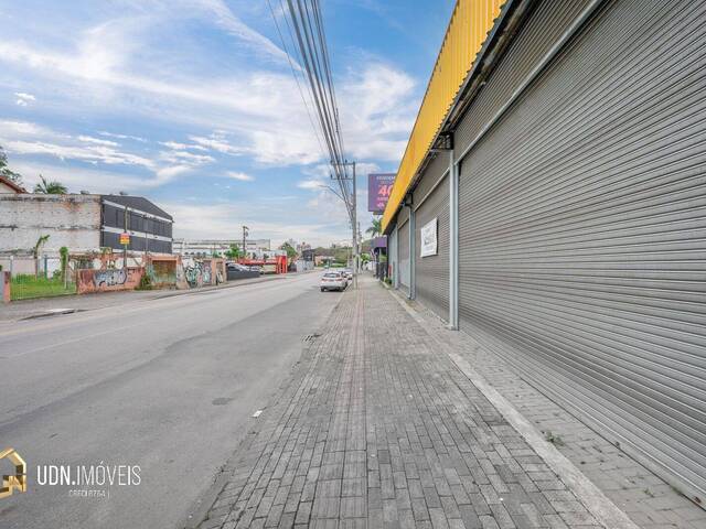 Galpão para Locação em Blumenau - 4