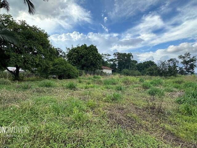 Terreno para Venda em Blumenau - 5