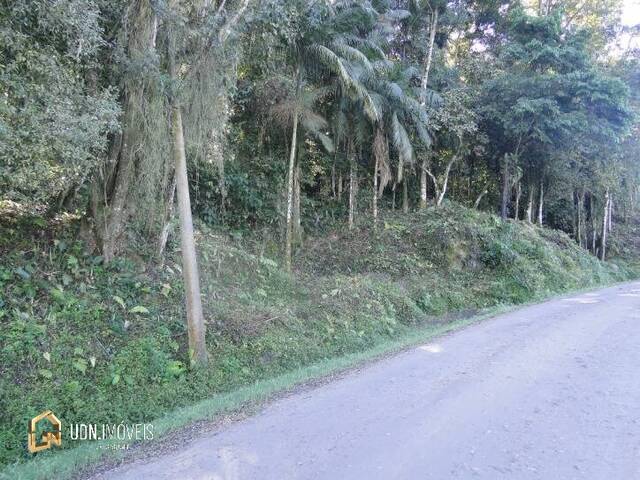 Área para Venda em Blumenau - 4