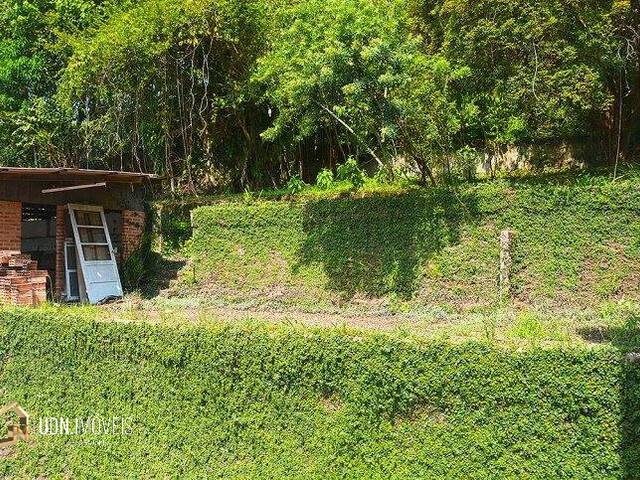 #196 - Casa para Locação em Blumenau - SC